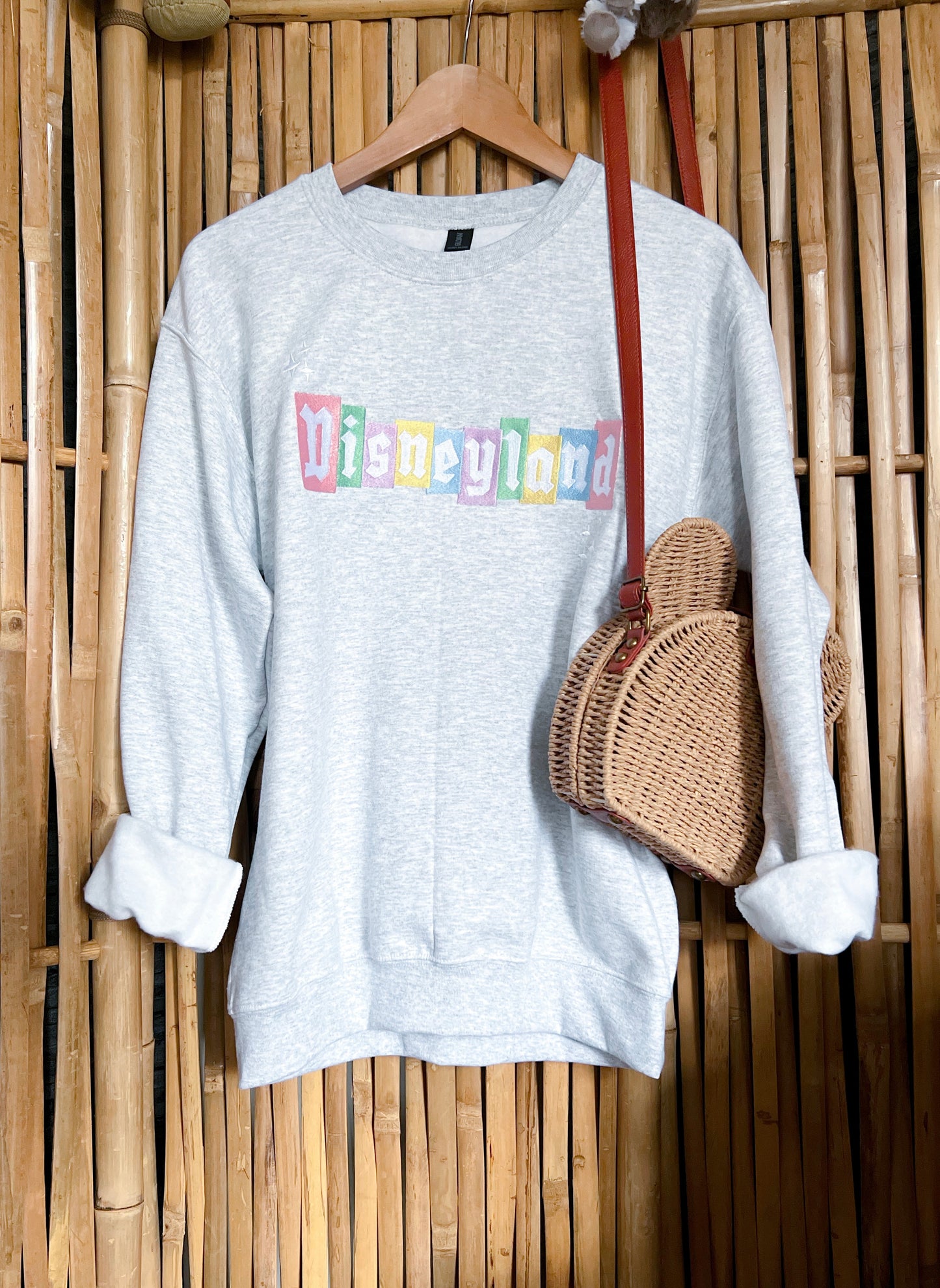 Disneyland Sweater Pastel